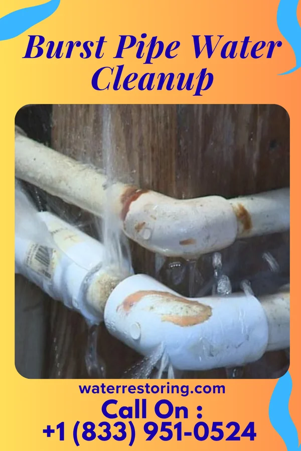 Burst Pipe Water Cleanup in Utica, KS