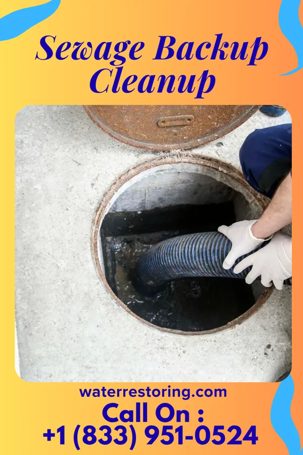 Sewage Backup Cleanup in Utica, KS